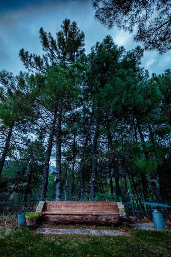 Royo Guarde, Junto Al Rio Mundo Bed and Breakfast Riópar Εξωτερικό φωτογραφία